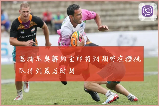 塞梅尼奥解约金即将到期将在樱桃队待到最后时刻