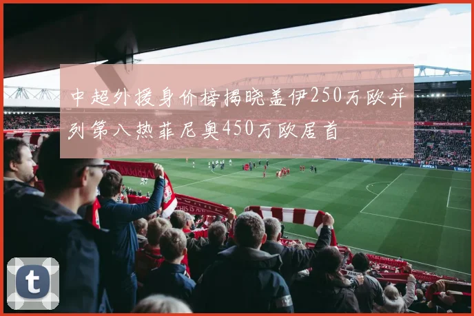 中超外援身价榜揭晓盖伊250万欧并列第八热菲尼奥450万欧居首